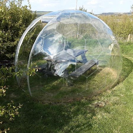 The Rainbow Pod Villa Milltown Malbay Exteriör bild